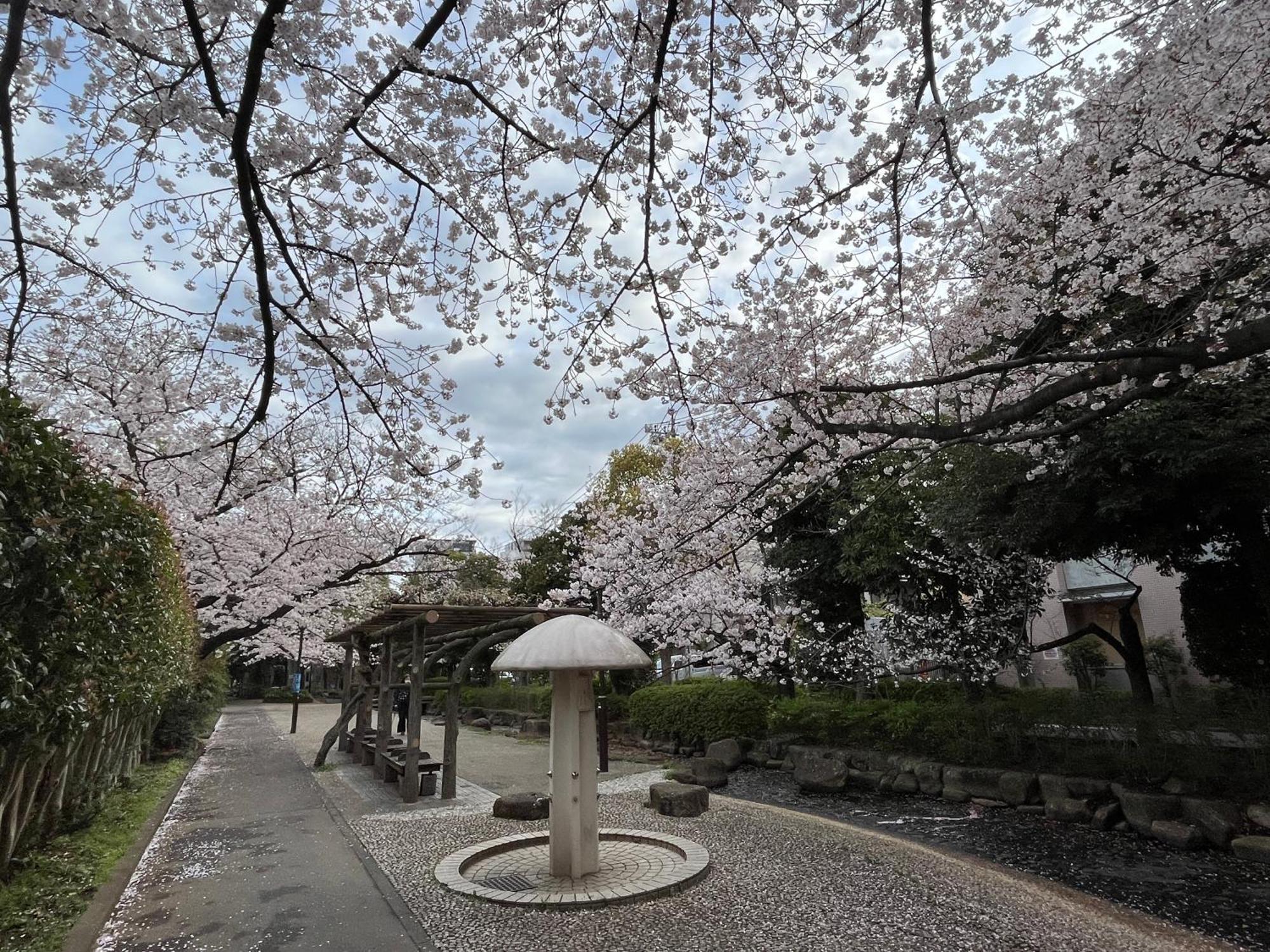도쿄 松島雅居 아파트 외부 사진